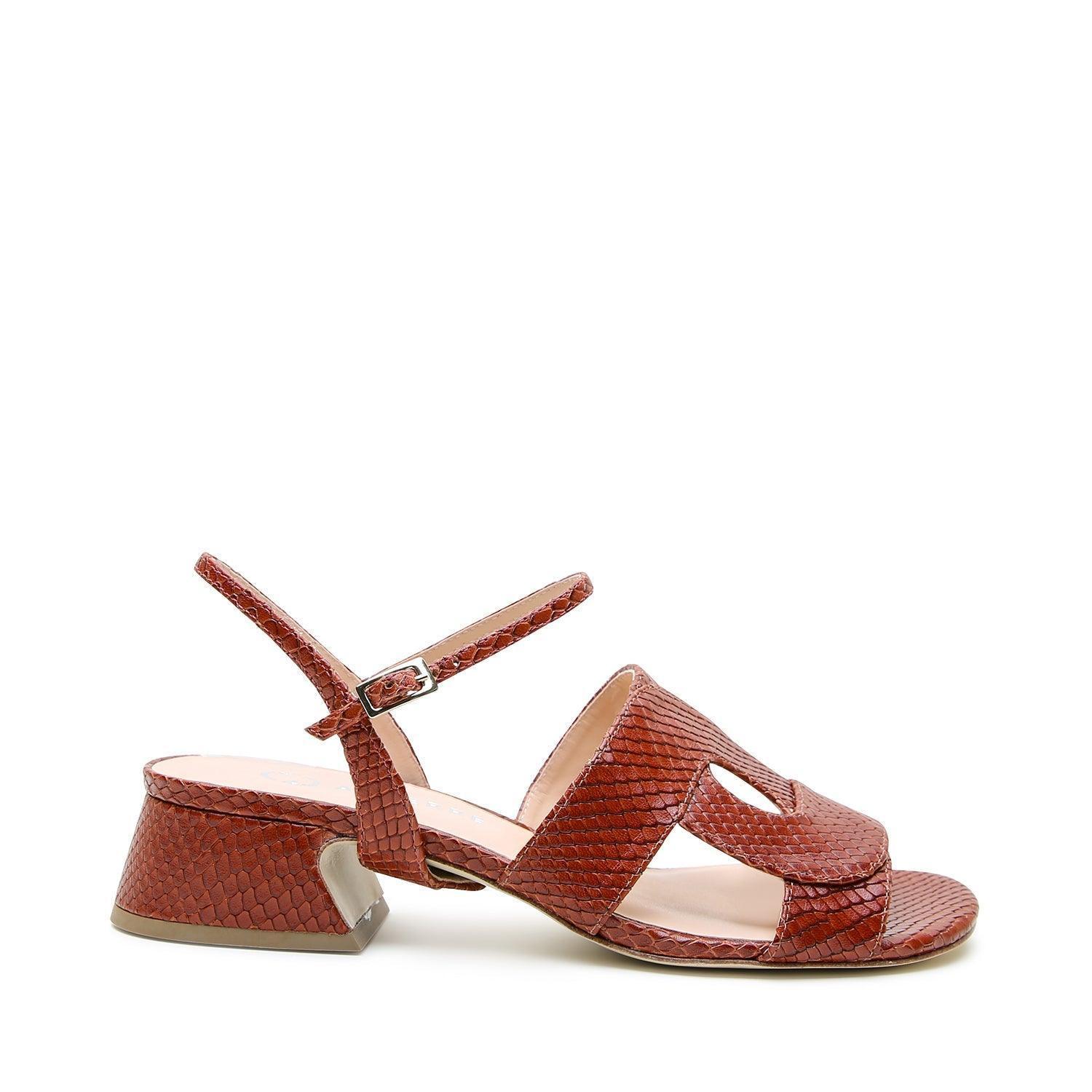 Snake Loop Sandal + Amal Strap