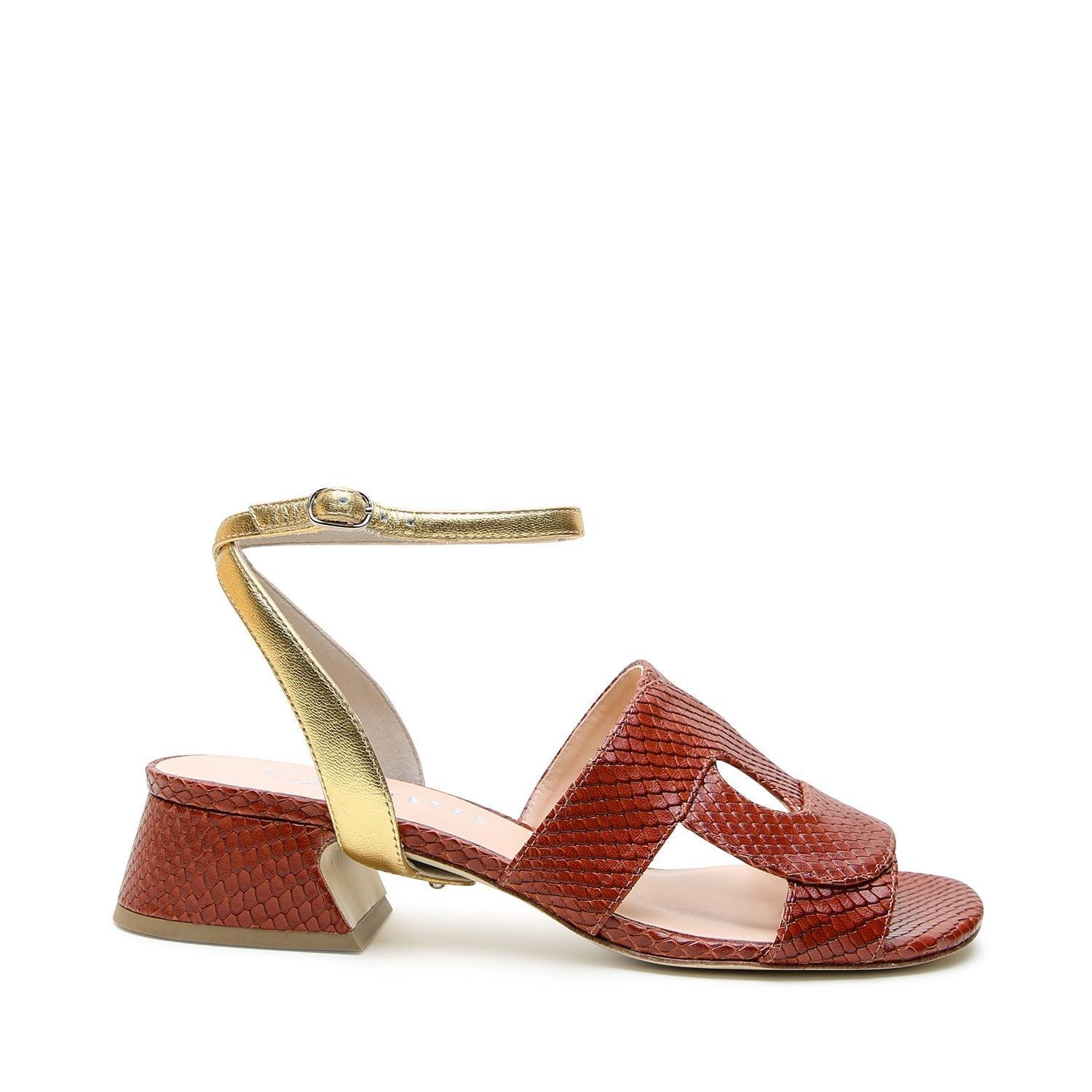 Brown Snake Loop Sandal + Gold Marilyn Strap