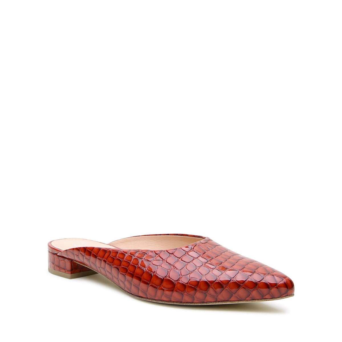 Clay Croc Point Slide