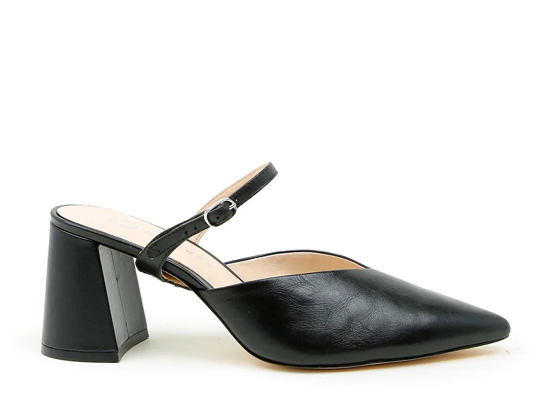 Black V Mule Starter Kit