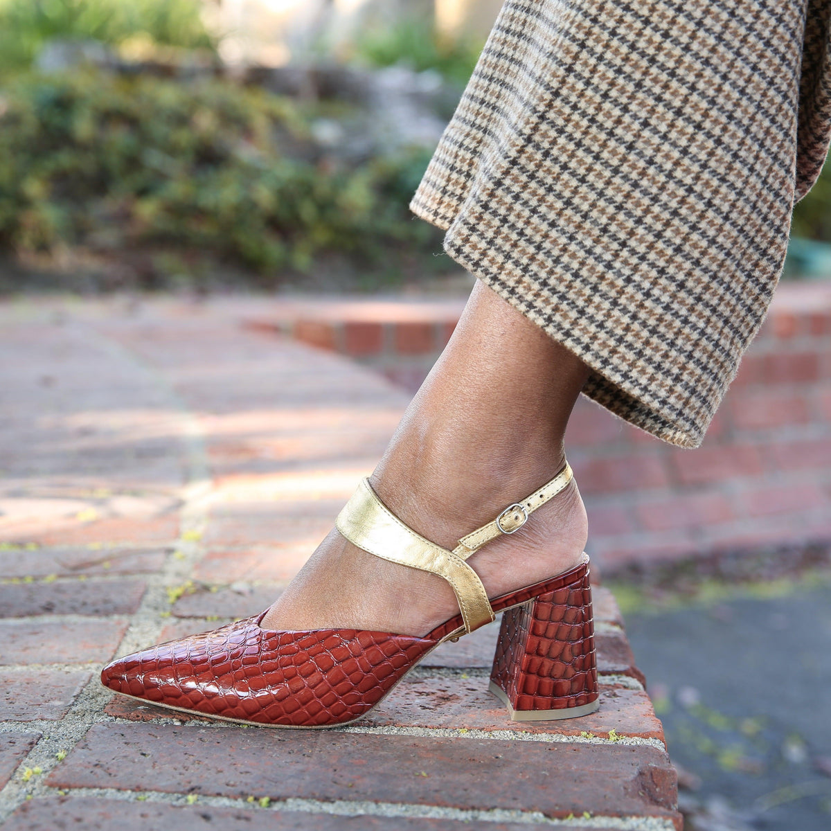 Clay Croc V Mule + Gold Elsie Strap