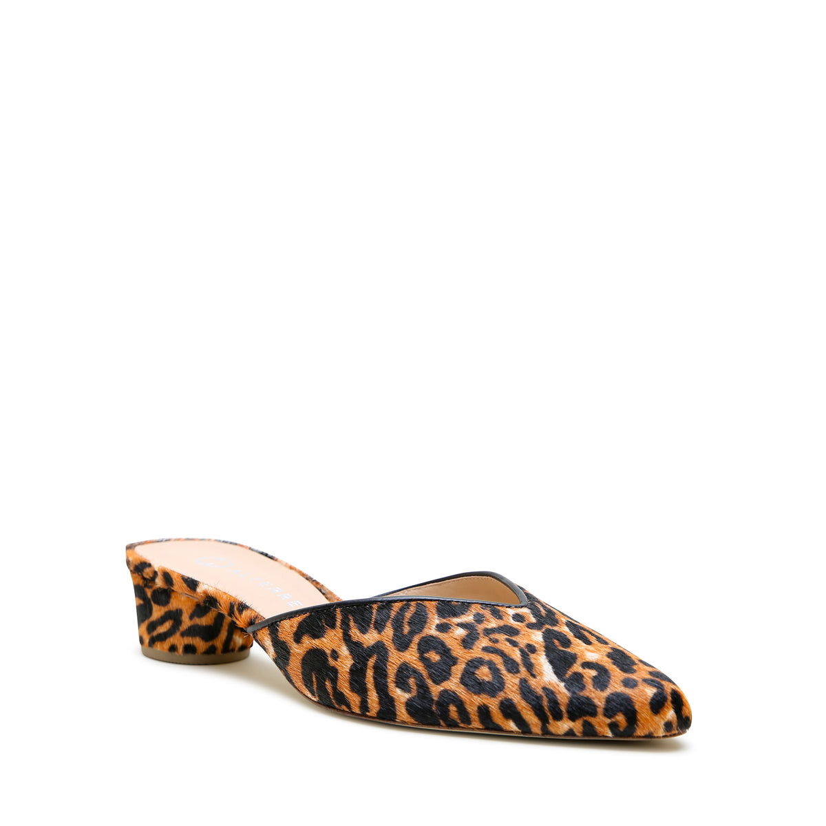Alterre Jaguar V Slide with exotic alternative made with calf leather, 5-inch heel, and an interchangeable design.