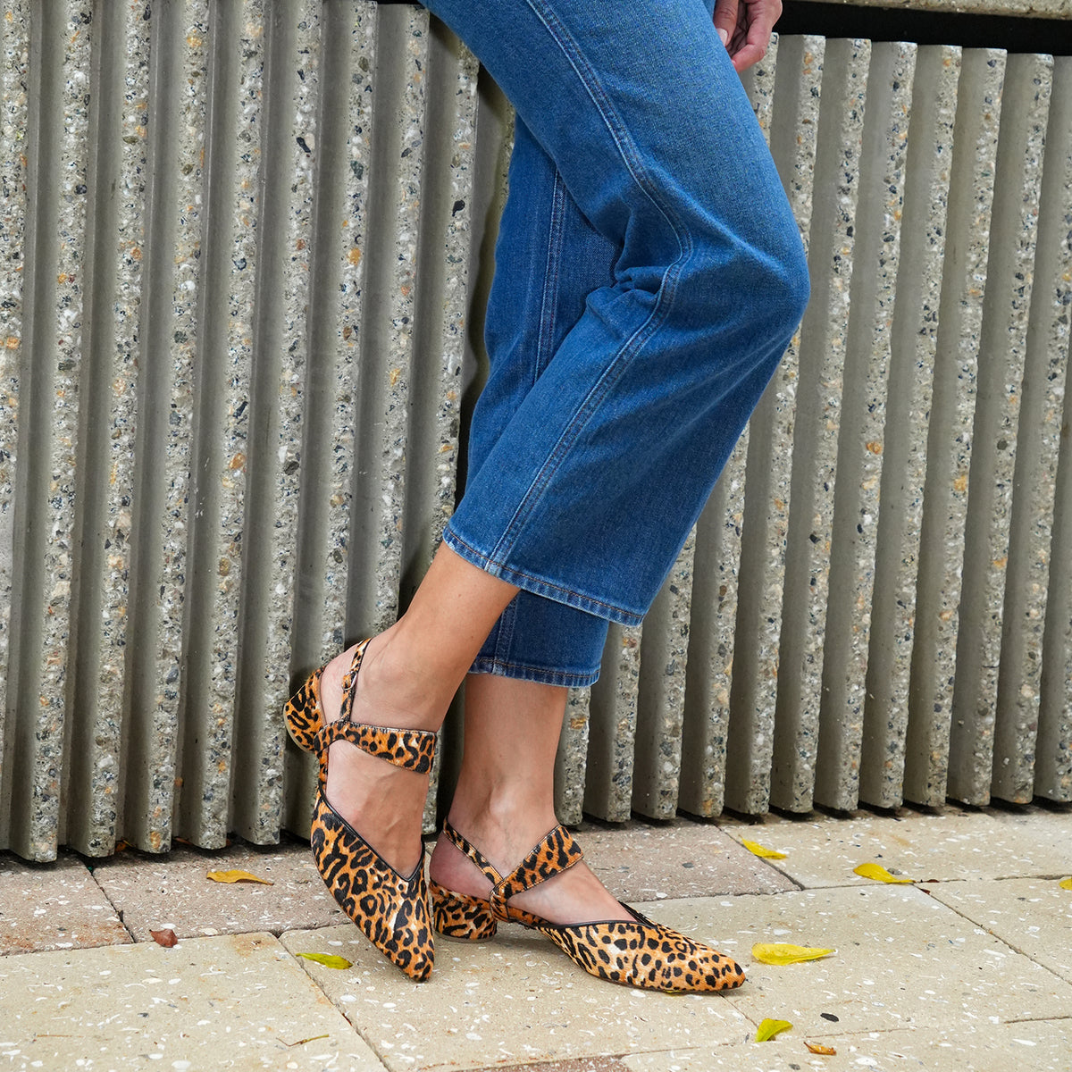 Alterre Jaguar V Slide Starter Kit with versatile and elevated cousin of leopard, 5-inch heel, and an interchangeable design.