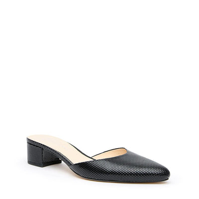 Interchangeable Shoe Bases – Alterre